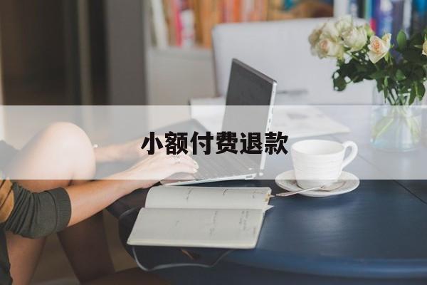 小额付费退款(小额打款了买家申请退款)