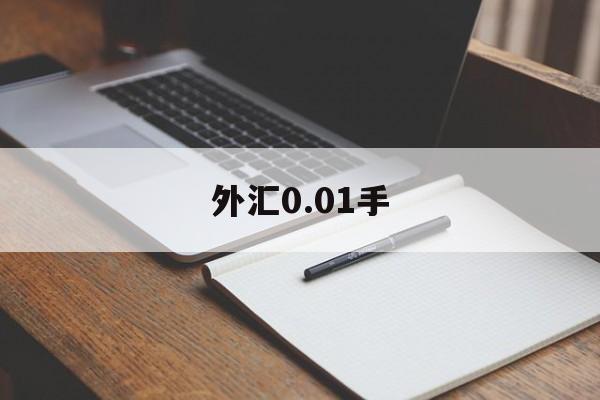 外汇0.01手(外汇001手保证金多少)